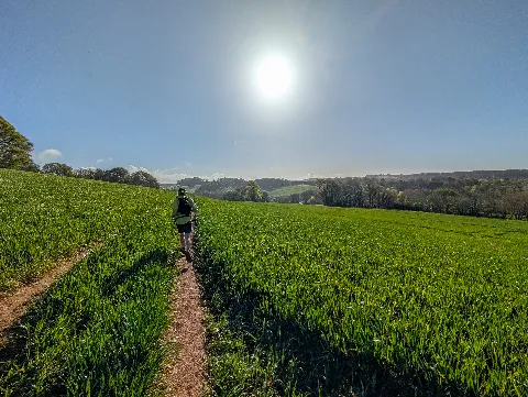 Photo at near Yealmpton