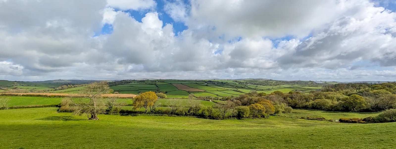 Photo at near Ermington, South Hams