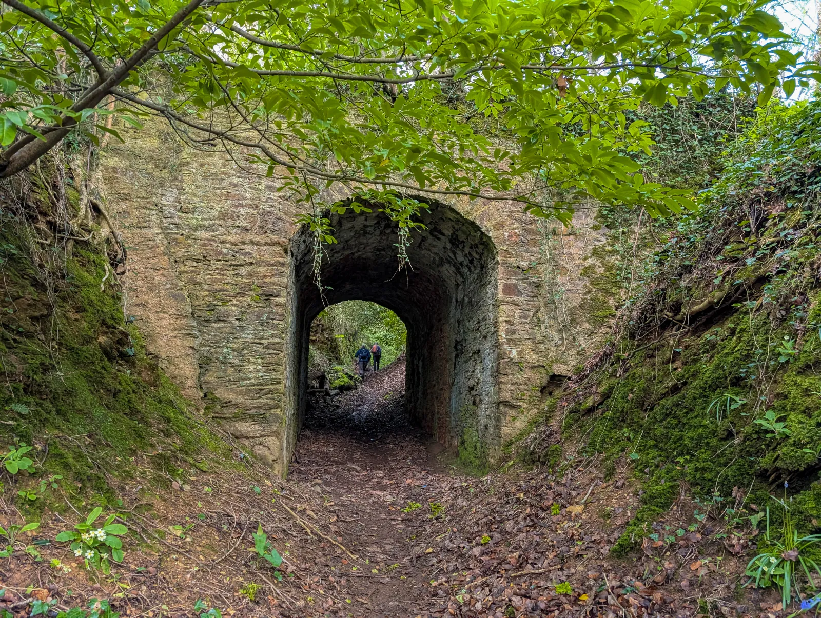 Photo at near Yealmpton, South Hams