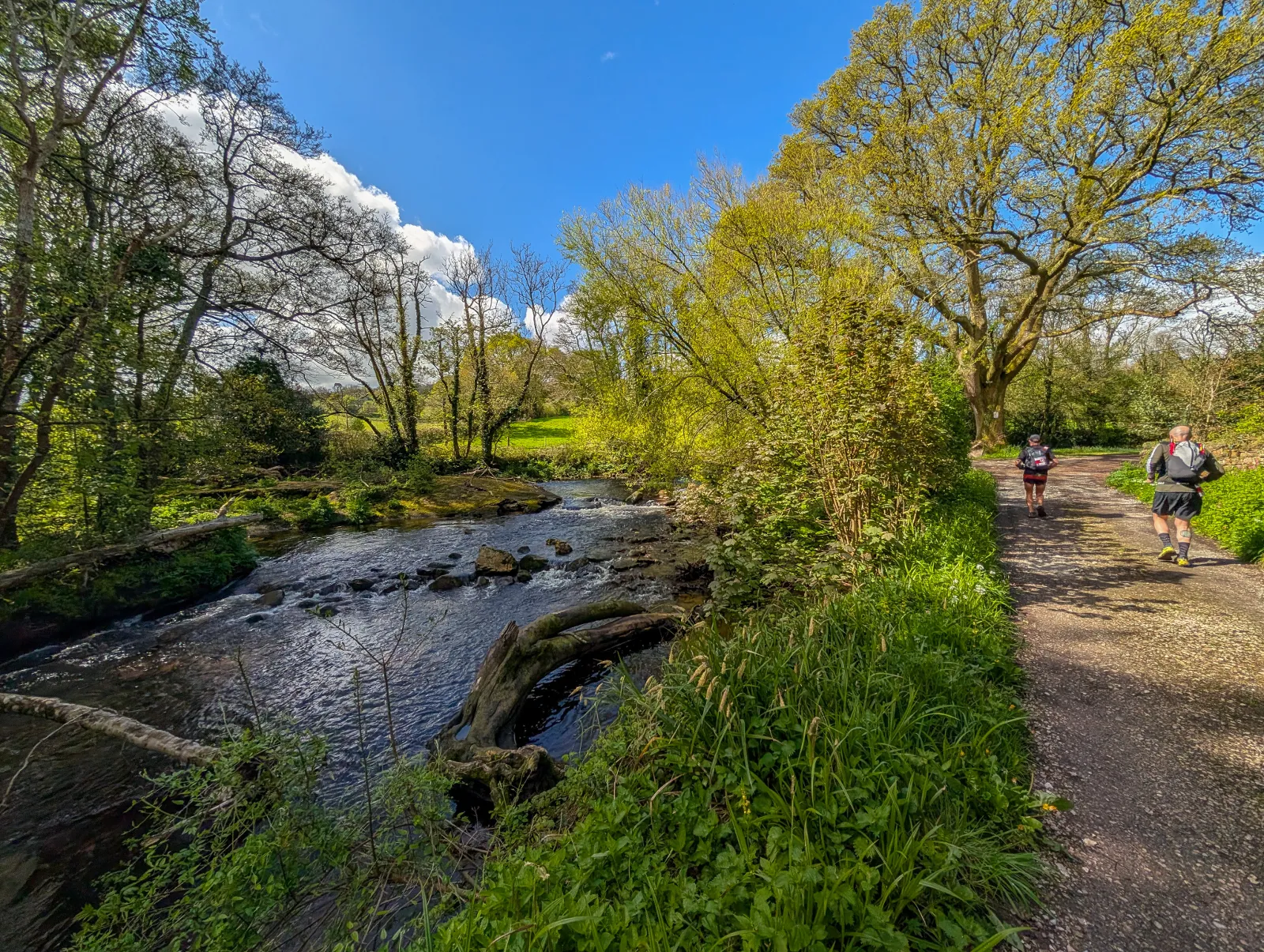 Photo at near Ermington, South Hams