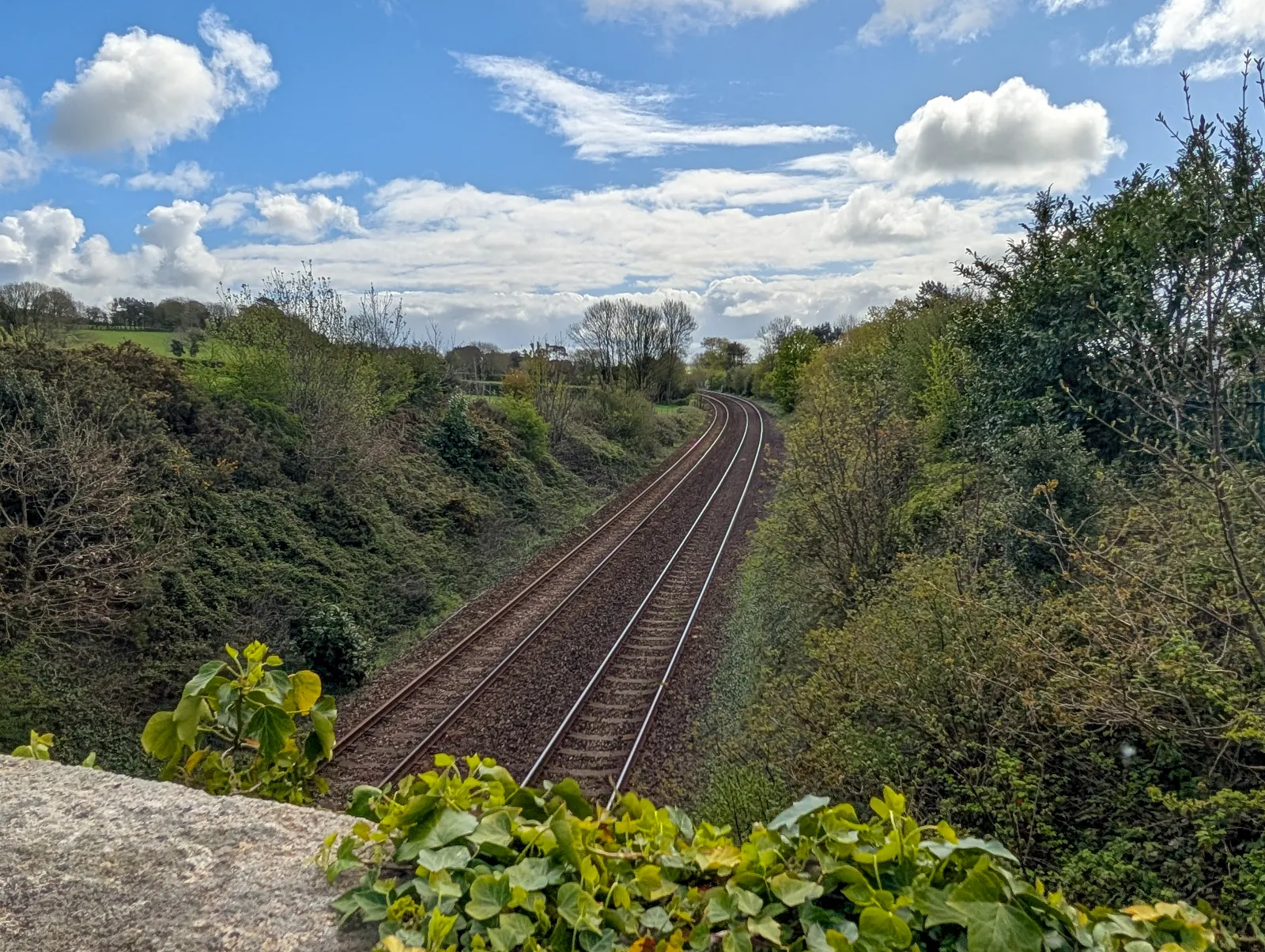 Photo at Ivybridge