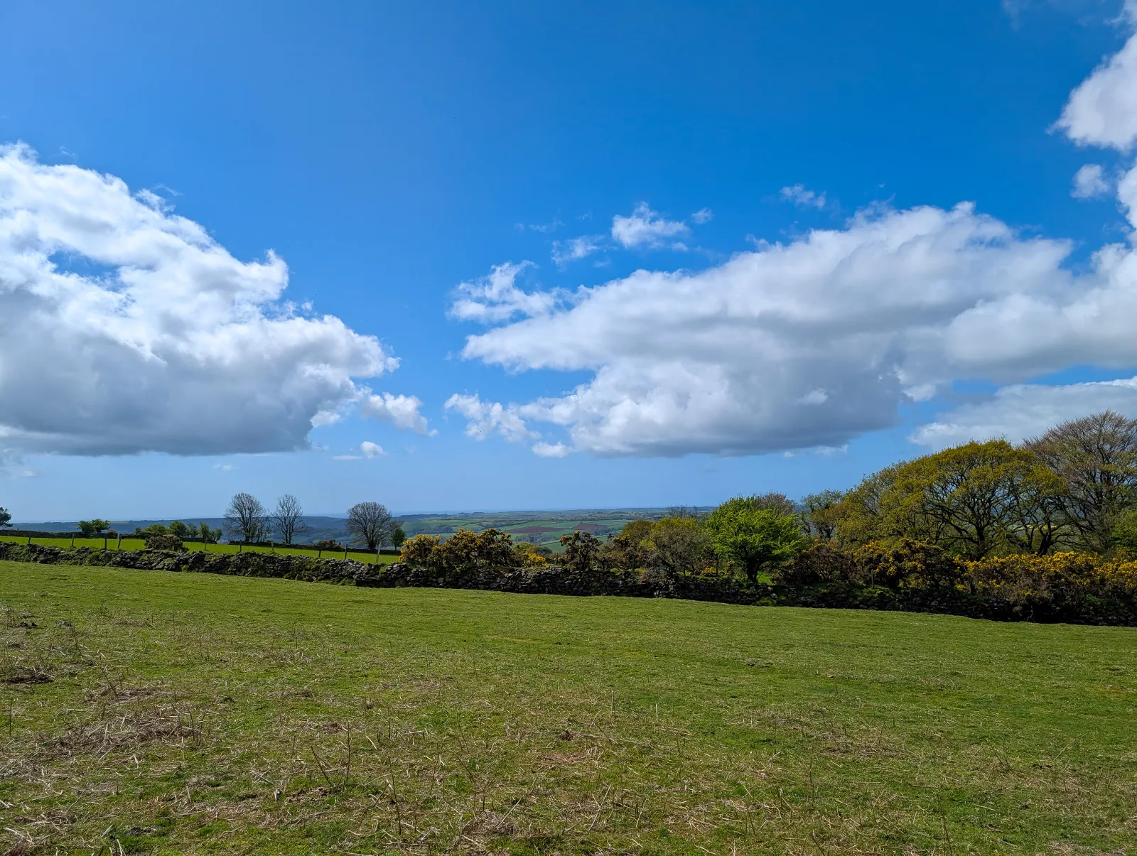 Photo at Redlake Tramway, South Hams