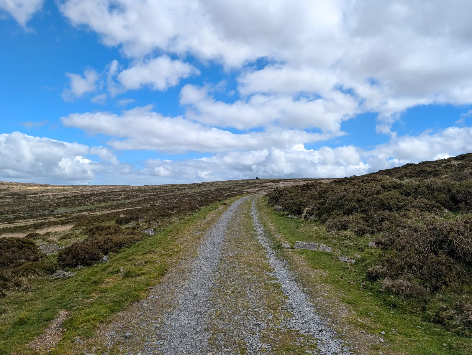 Photo at Redlake Tramway, South Hams