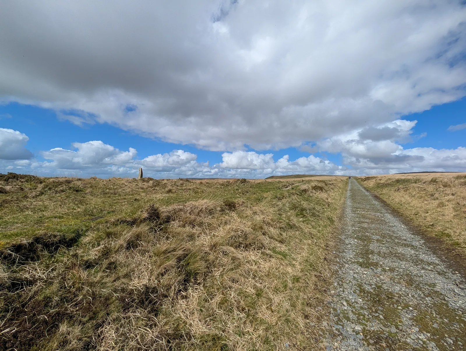 Photo at Redlake Tramway, South Hams