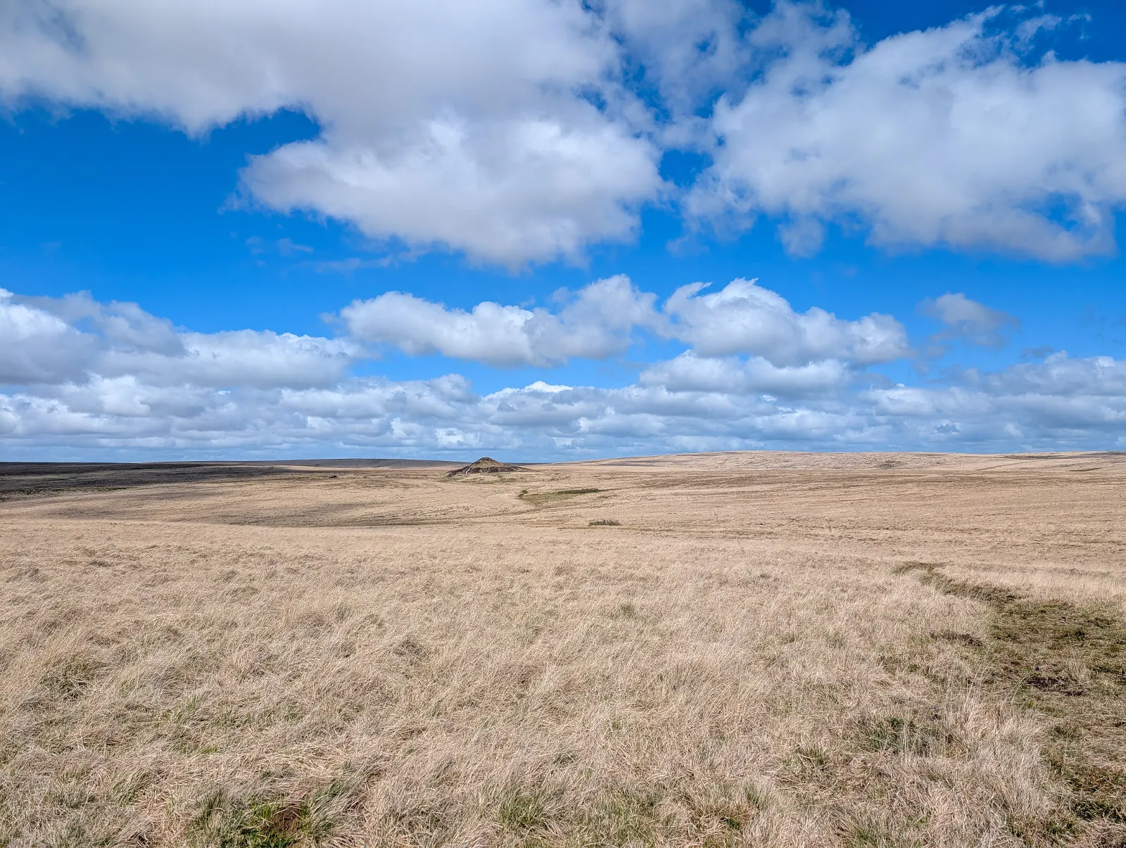 Photo at Redlake Tramway, South Hams
