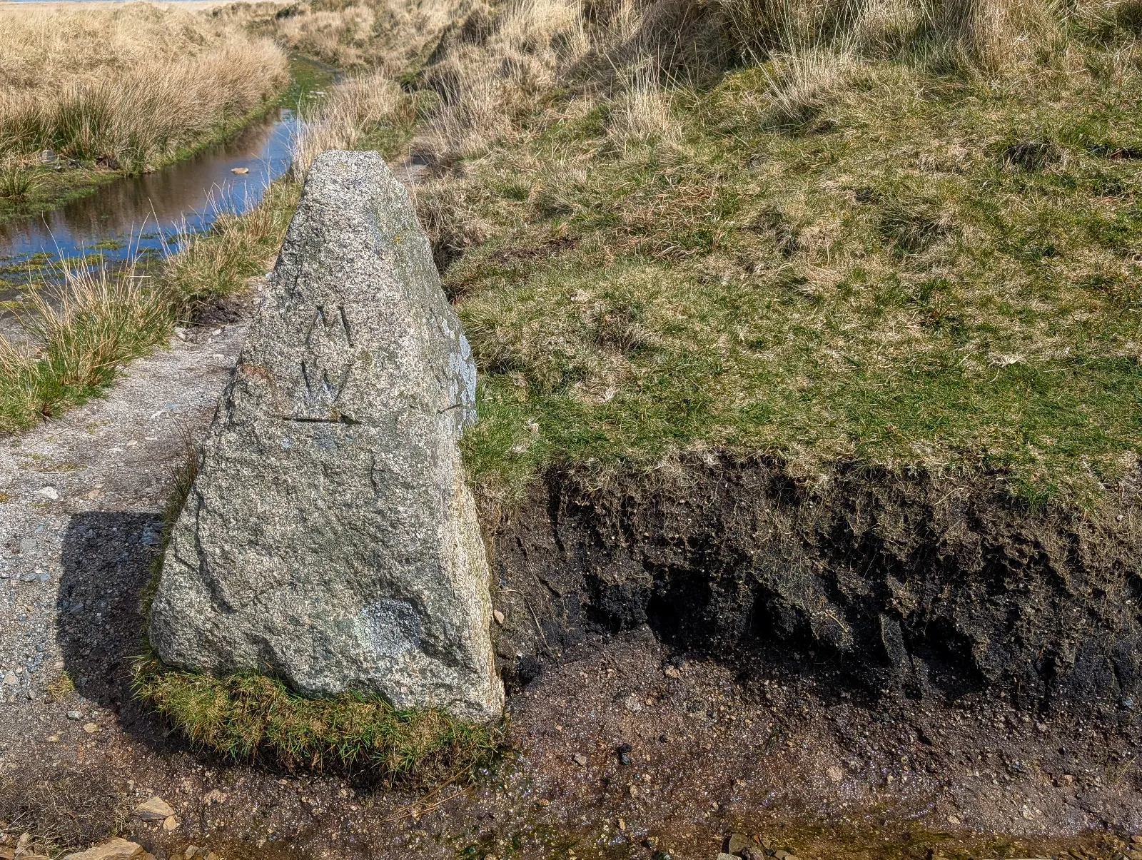 Photo at Dartmoor Forest, West Devon