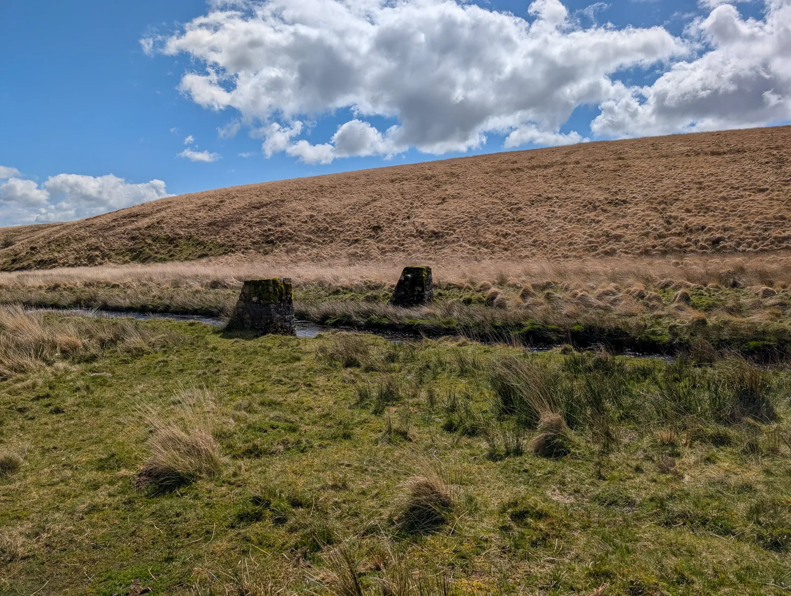 Photo at Wella Brook, South Hams