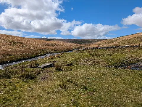 Photo at Wella Brook