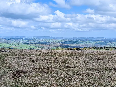 Photo at Wella Brook