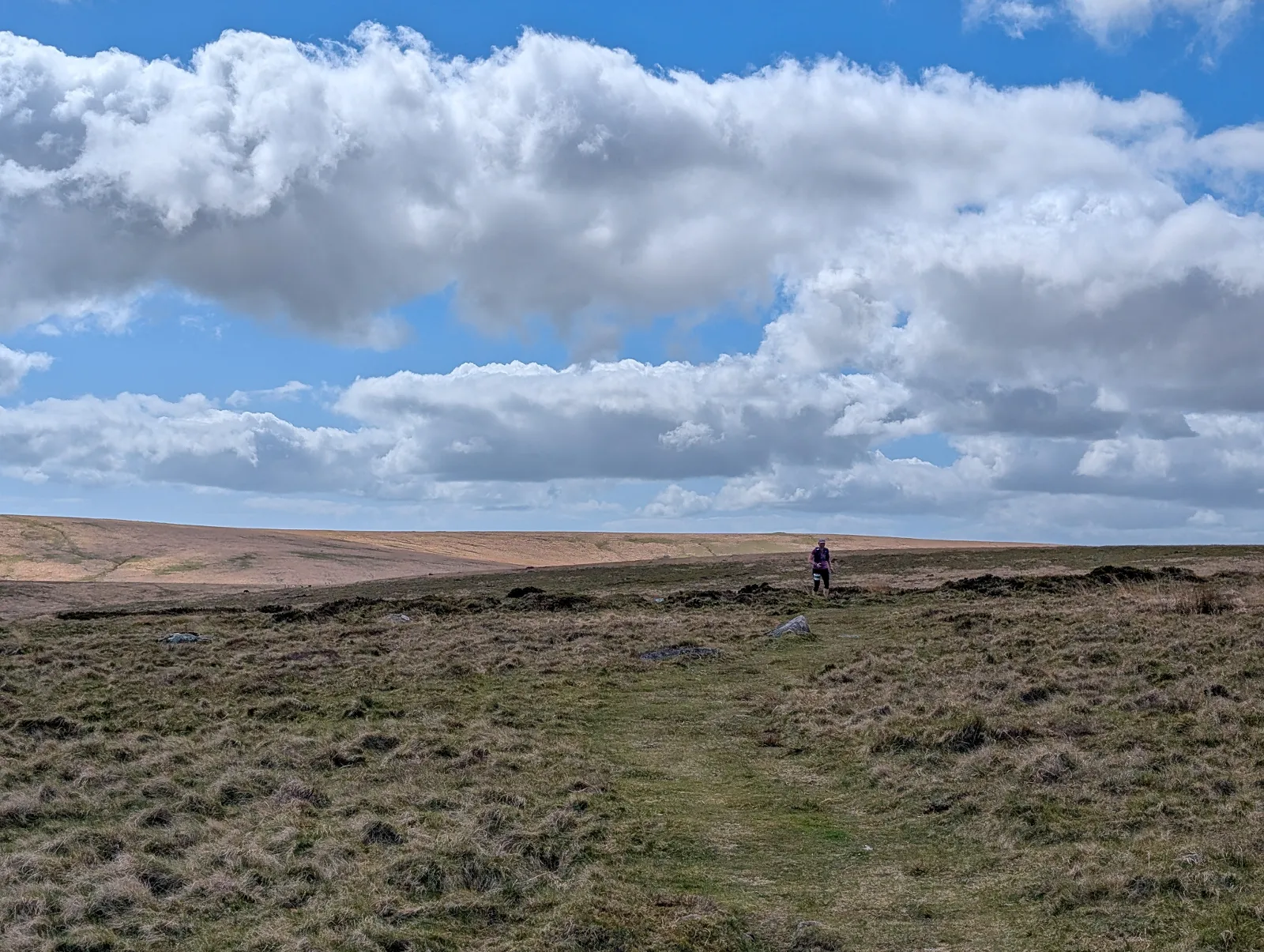 Photo at Wella Brook, South Hams