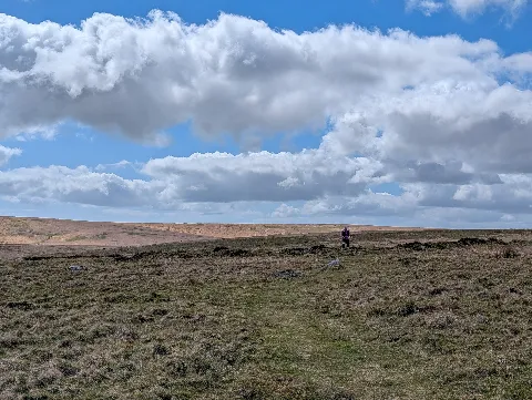 Photo at Wella Brook