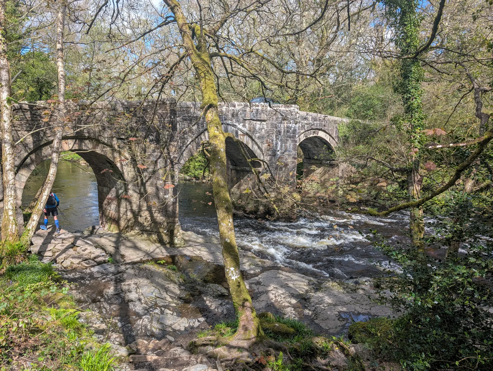 Photo at New Bridge, Teignbridge