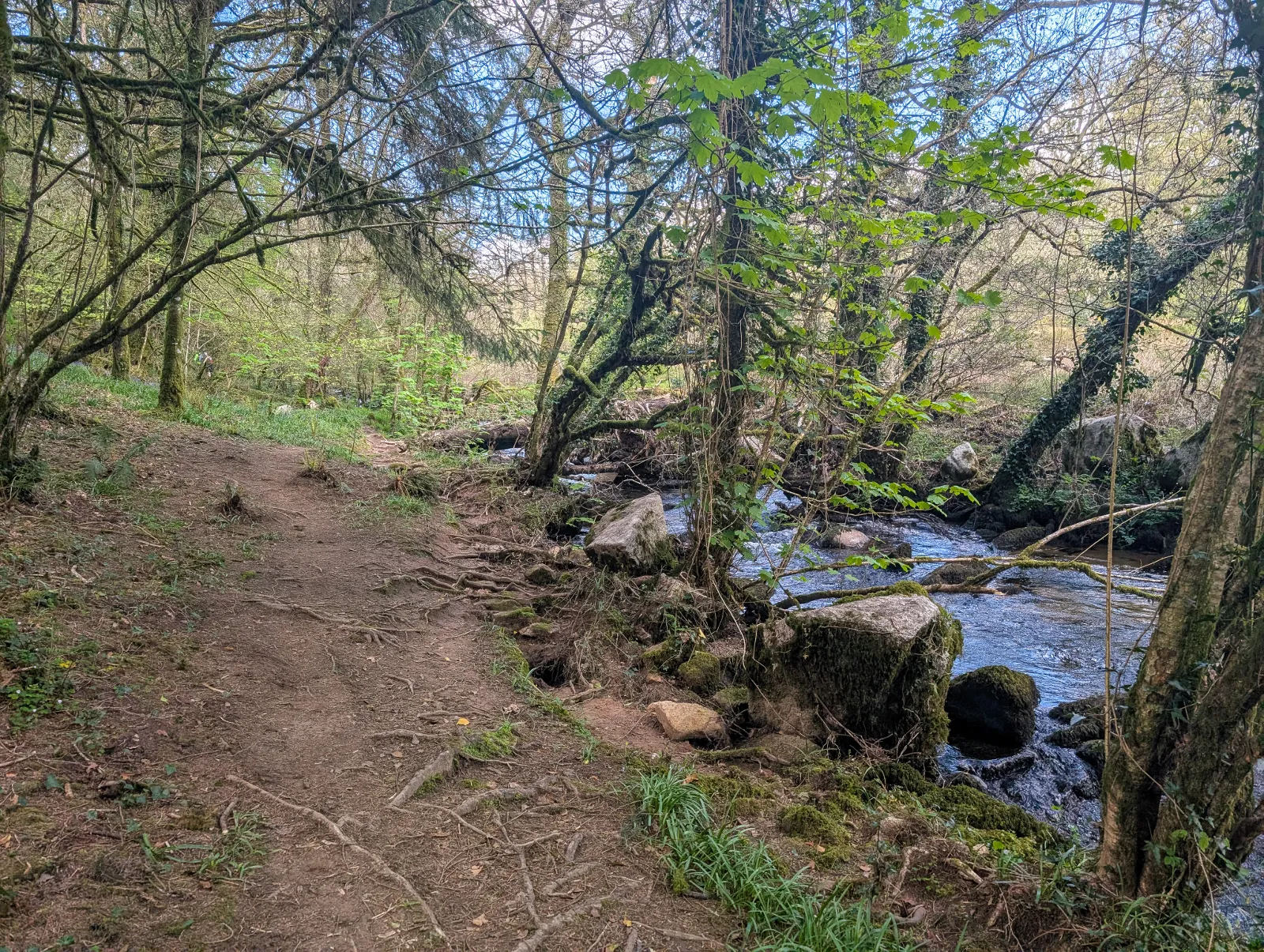 Photo at near Ponsworthy, Teignbridge