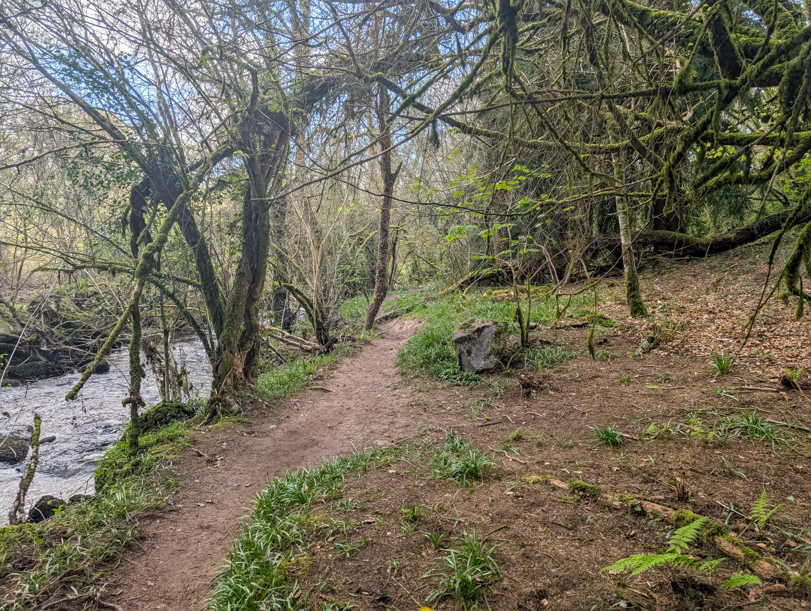 Photo at near Ponsworthy, Teignbridge