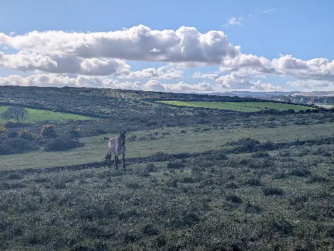 Photo at near Widecombe