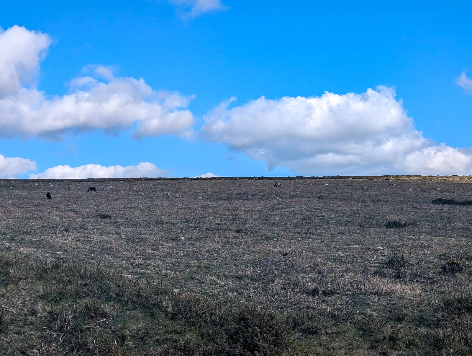 Photo at near Widecombe, Teignbridge