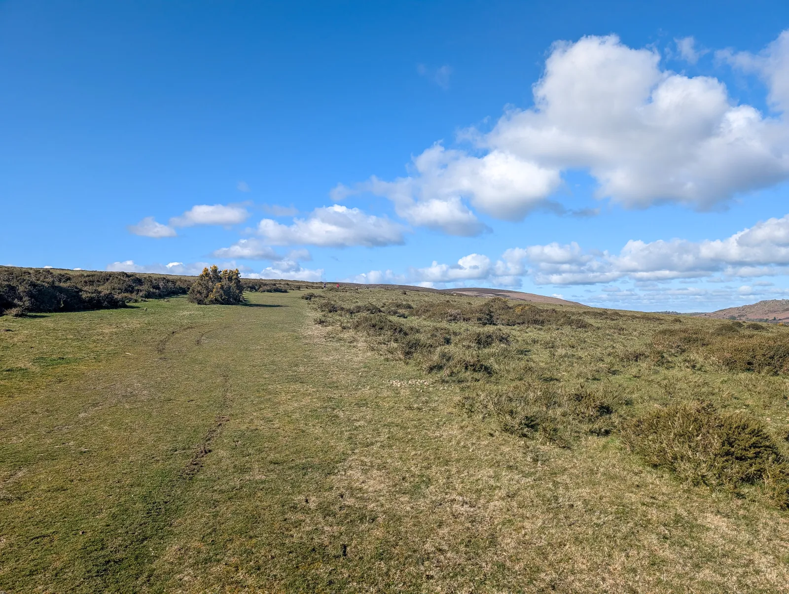 Photo at Hameldown, Teignbridge