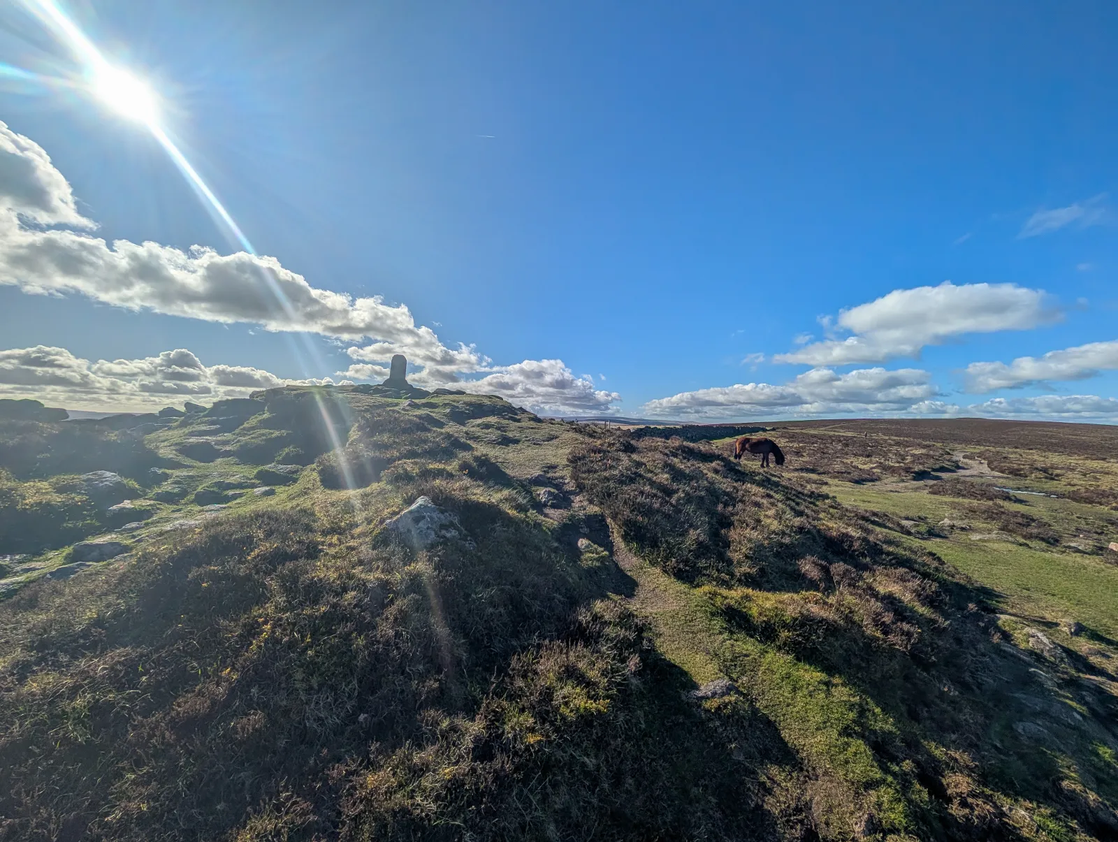 Photo at Hameldown, Teignbridge