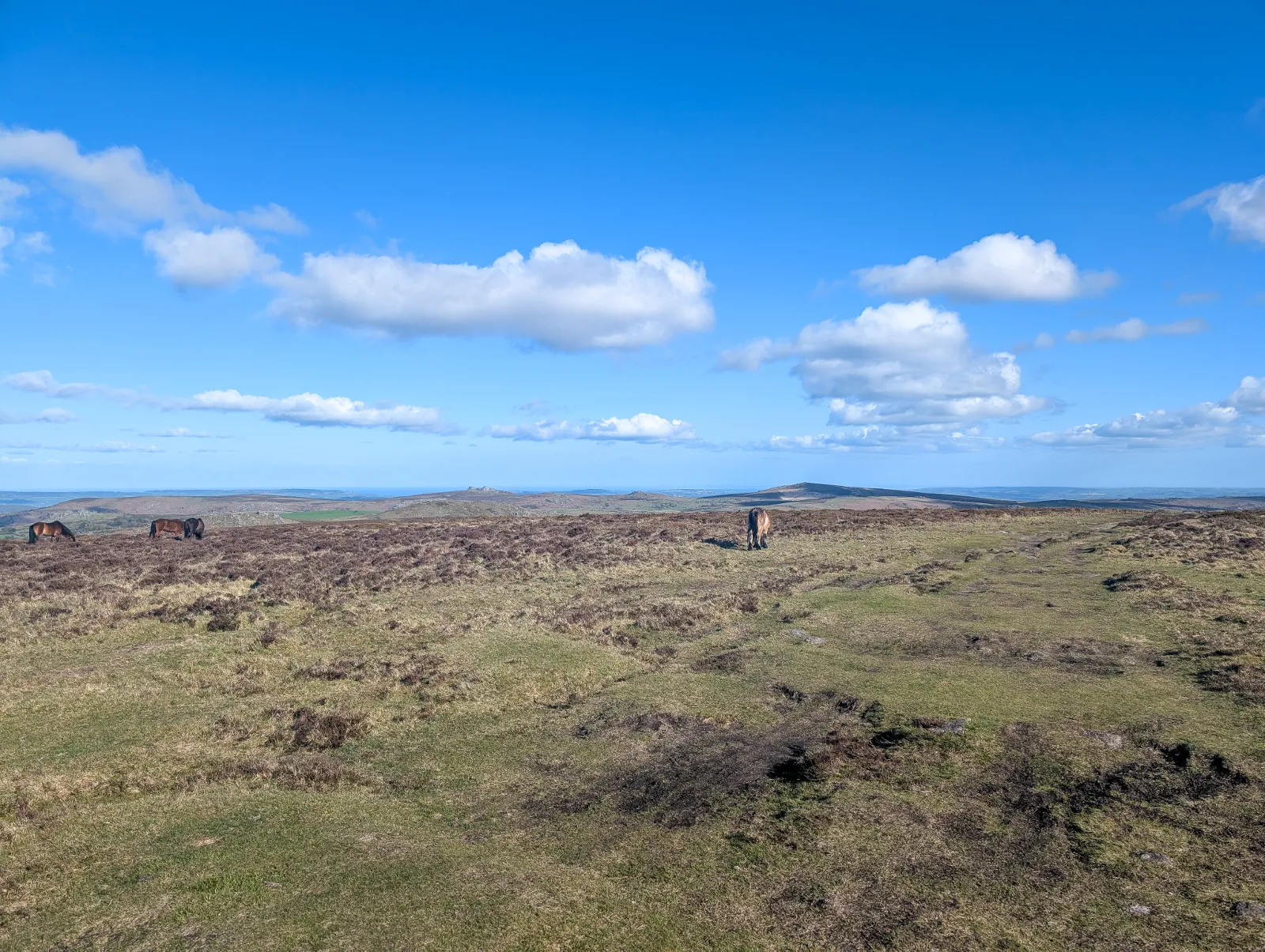 Photo at Hameldown, Teignbridge