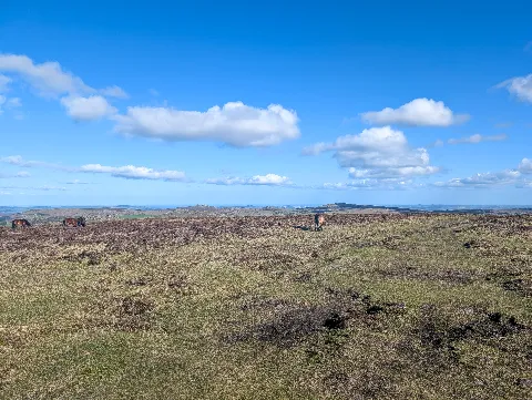 Photo at Hameldown
