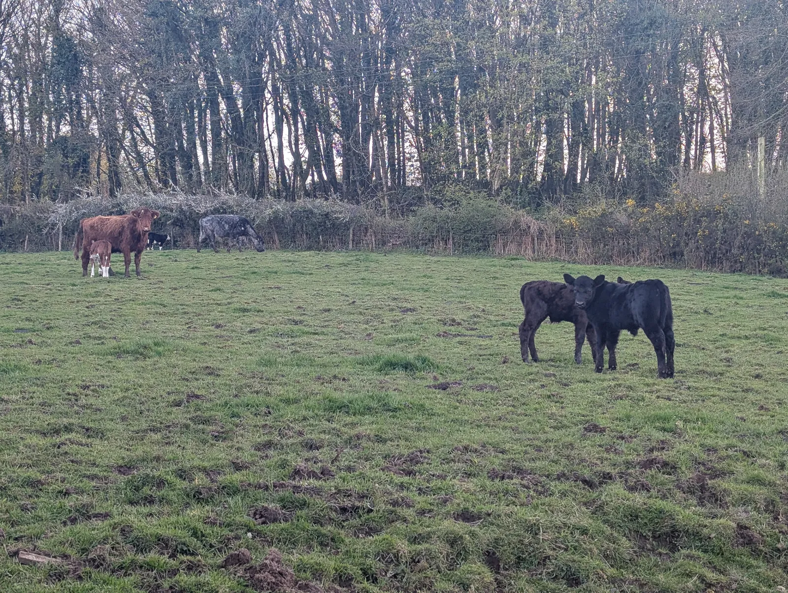 Photo at near Chagford, Chagford