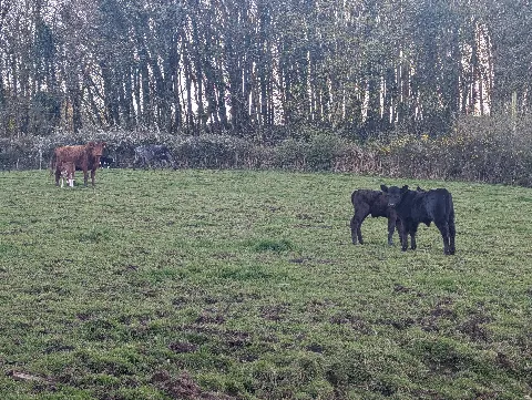 Photo at near Chagford