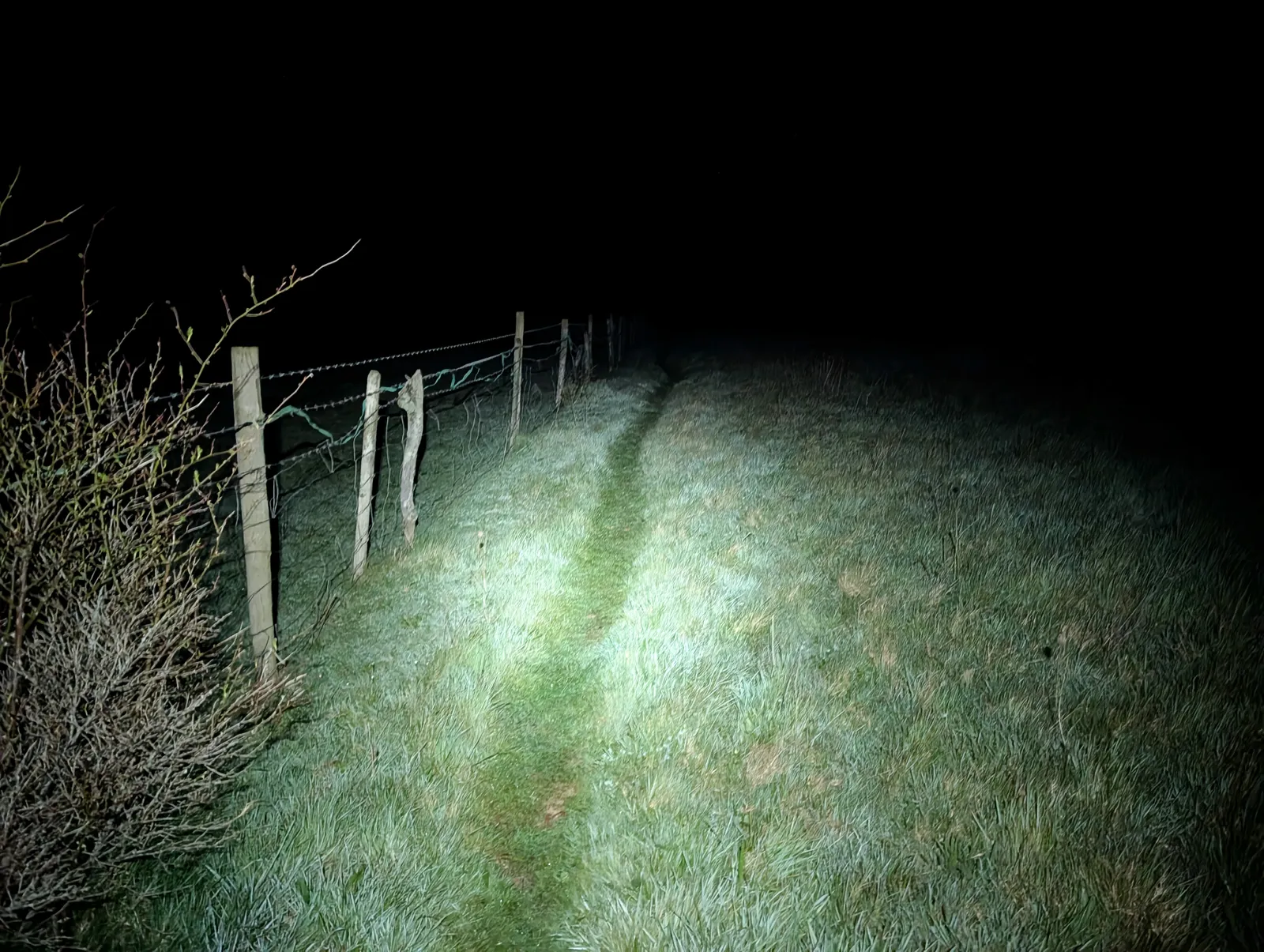 Photo at Hittisleigh, Mid Devon