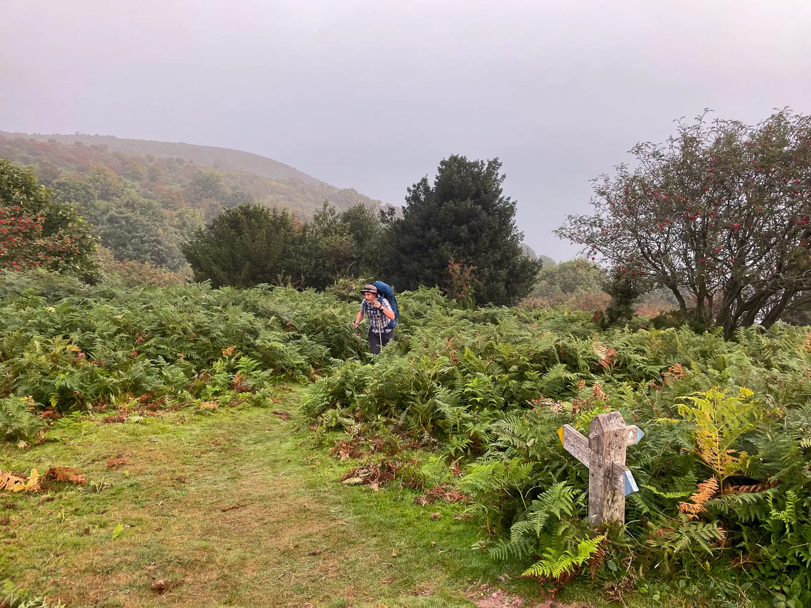 Photo at North Hill, Minehead