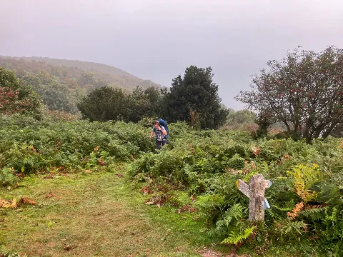 Photo at North Hill, Minehead