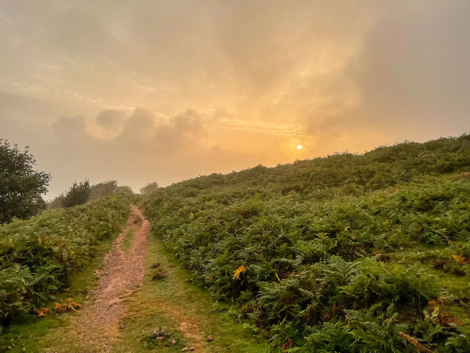 Photo at North Hill, Minehead