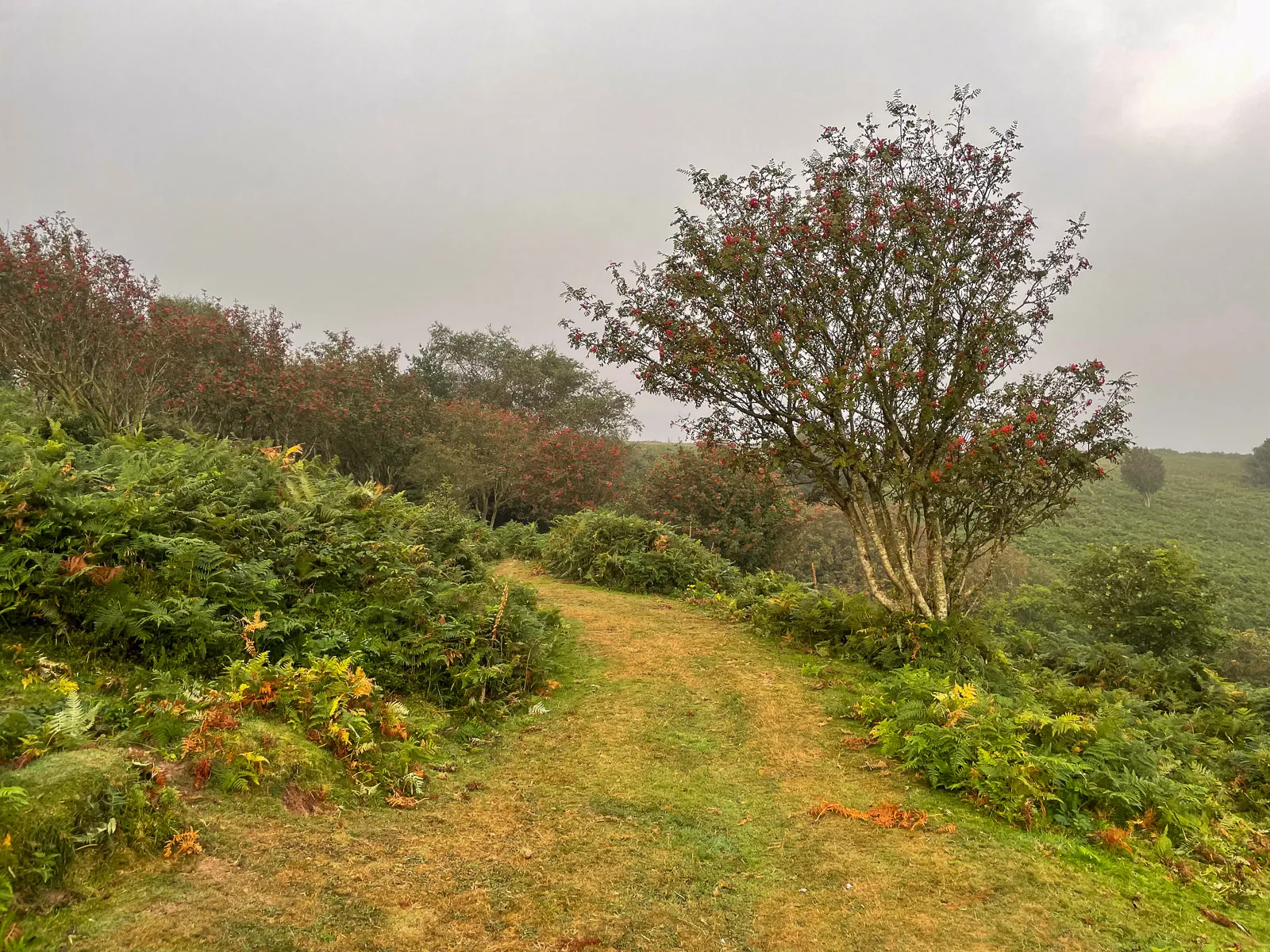 Photo at North Hill, Minehead