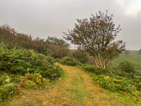 Photo at North Hill, Minehead