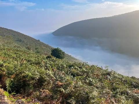 Photo at Combe Martin