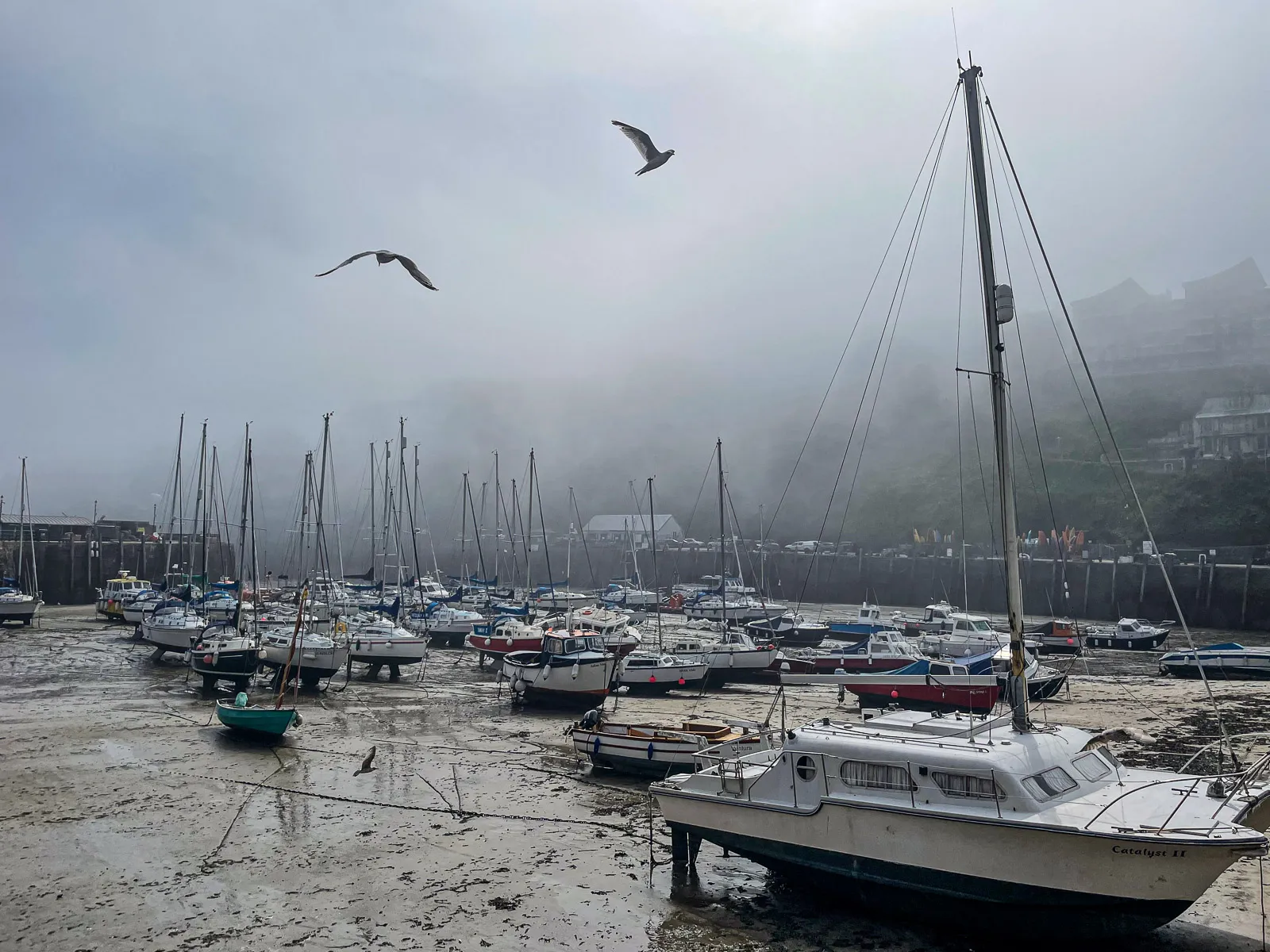 Photo at Ilfracombe, Ilfracombe
