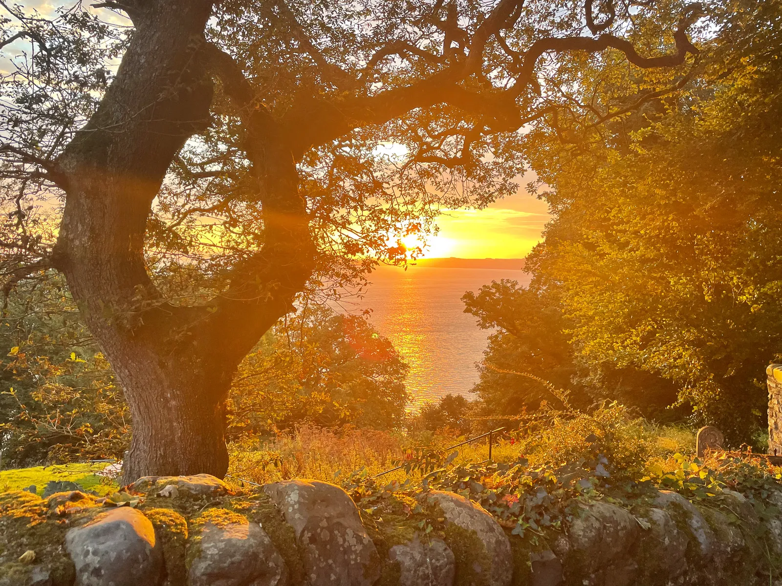 Photo at Higher Clovelly, Torridge