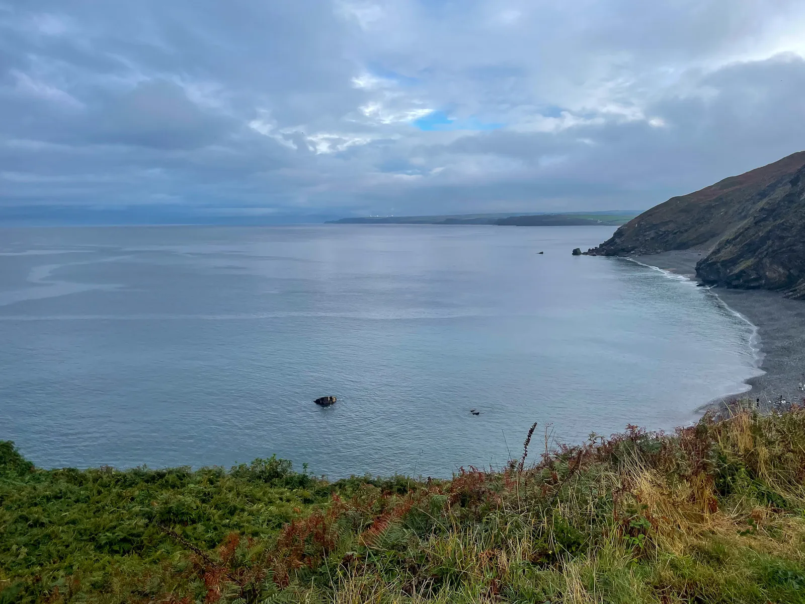 Photo at Millook