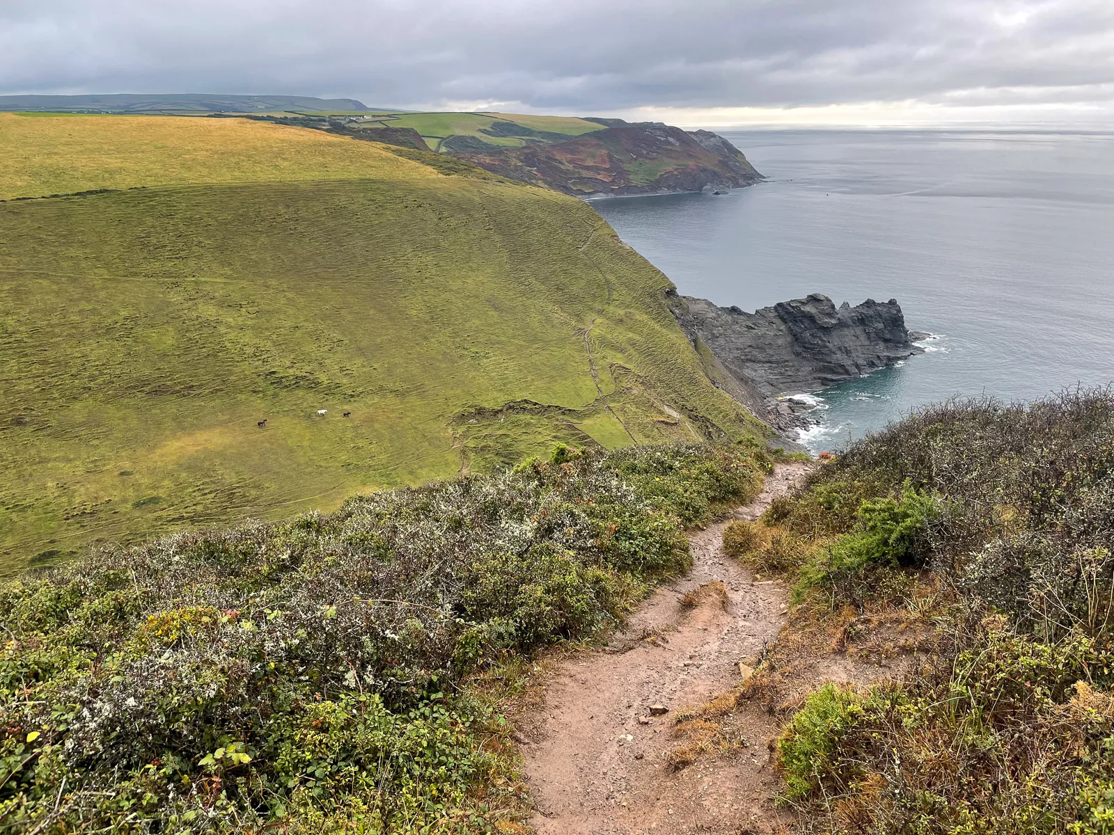 Photo at Crackington Haven