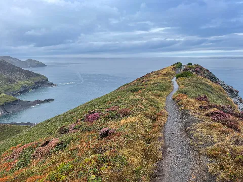 Photo at Crackington Haven