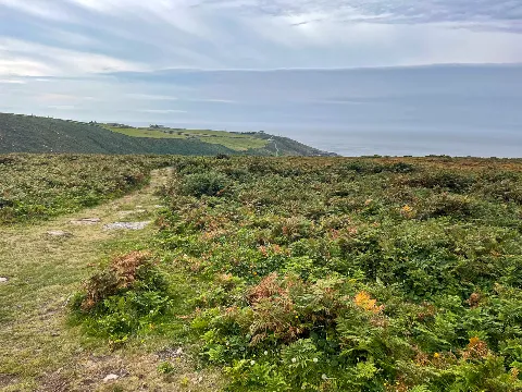 Photo at Pendeen