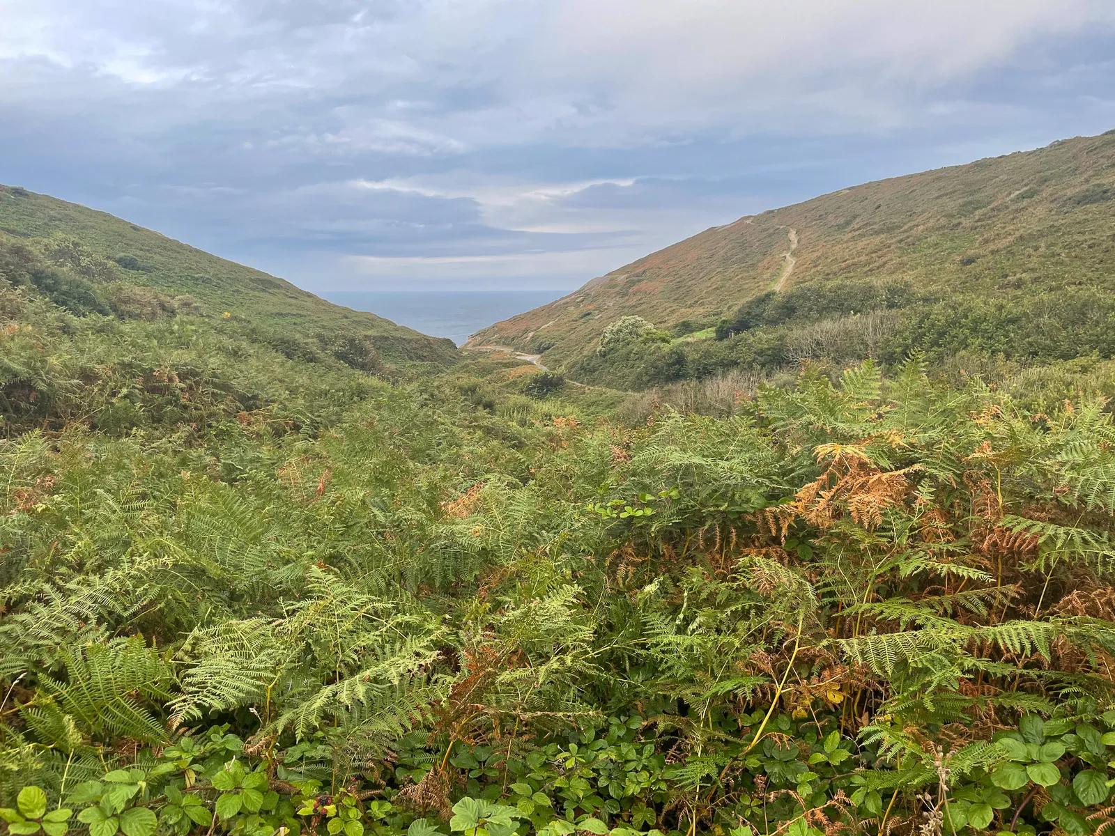 Photo at near Cape Cornwall, St Just