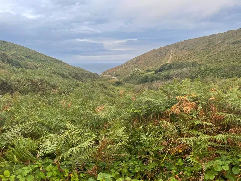 Photo at near Cape Cornwall