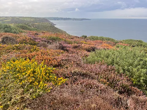 Photo at near Cape Cornwall