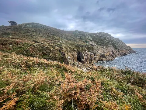 Photo at St Loy's Cove