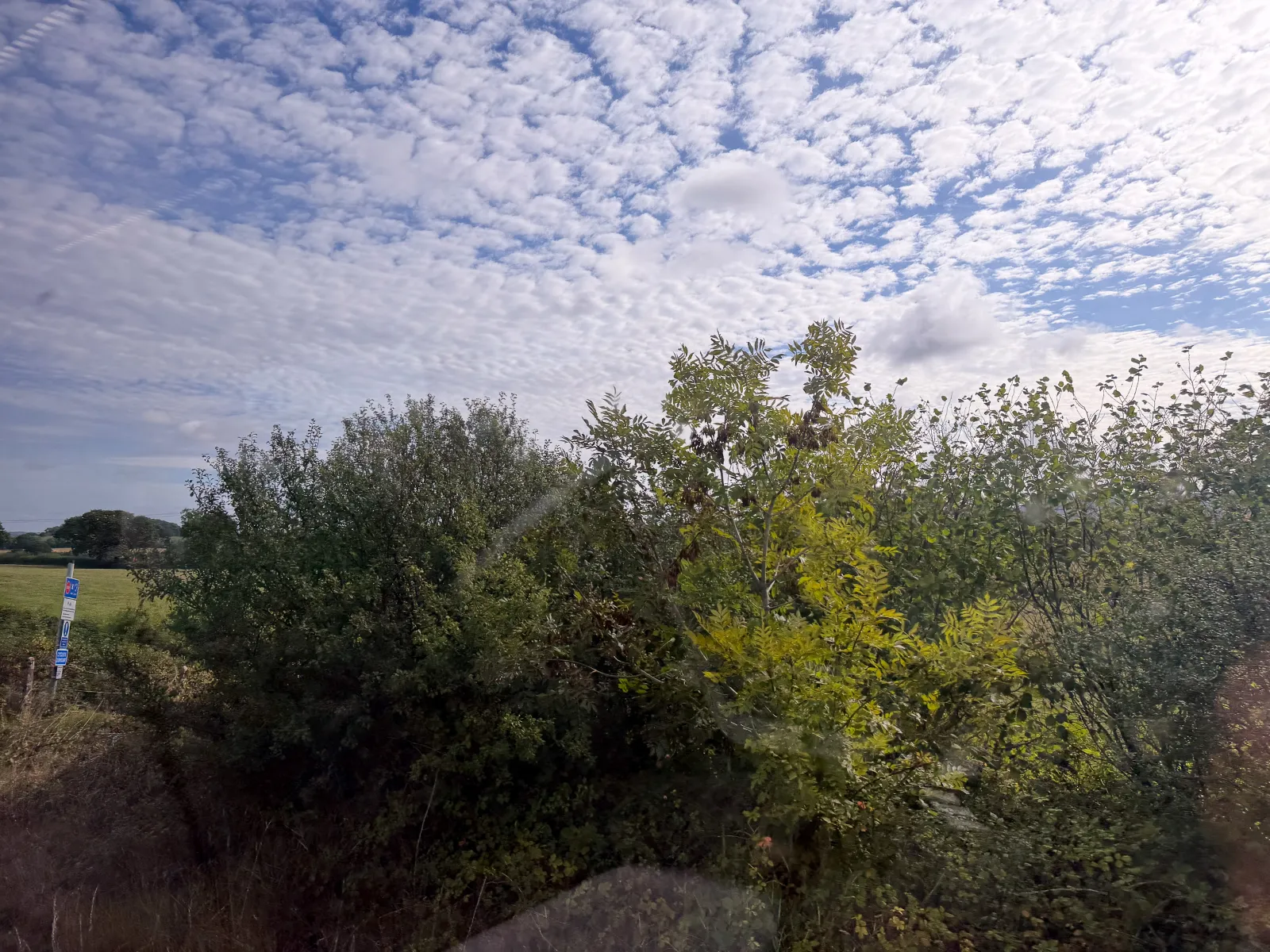 Photo at near Maiden Newton