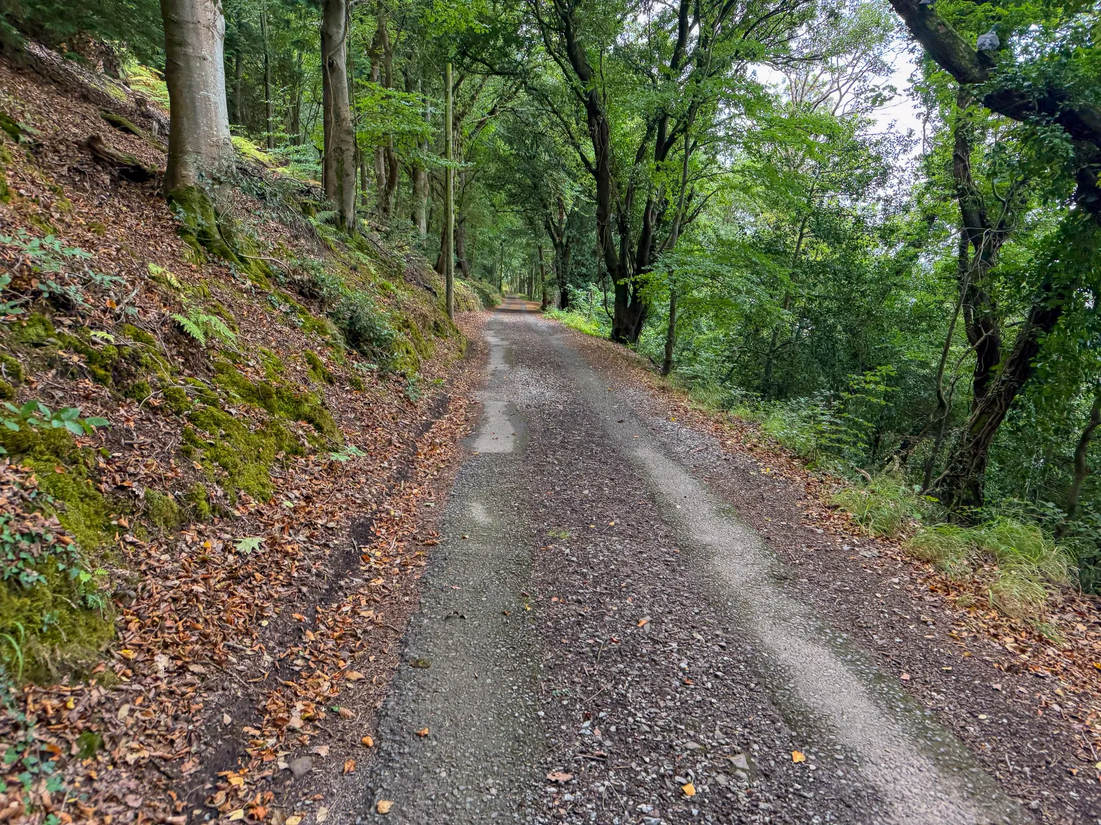 Photo at North Hill