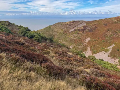 Photo at Bossington Hill
