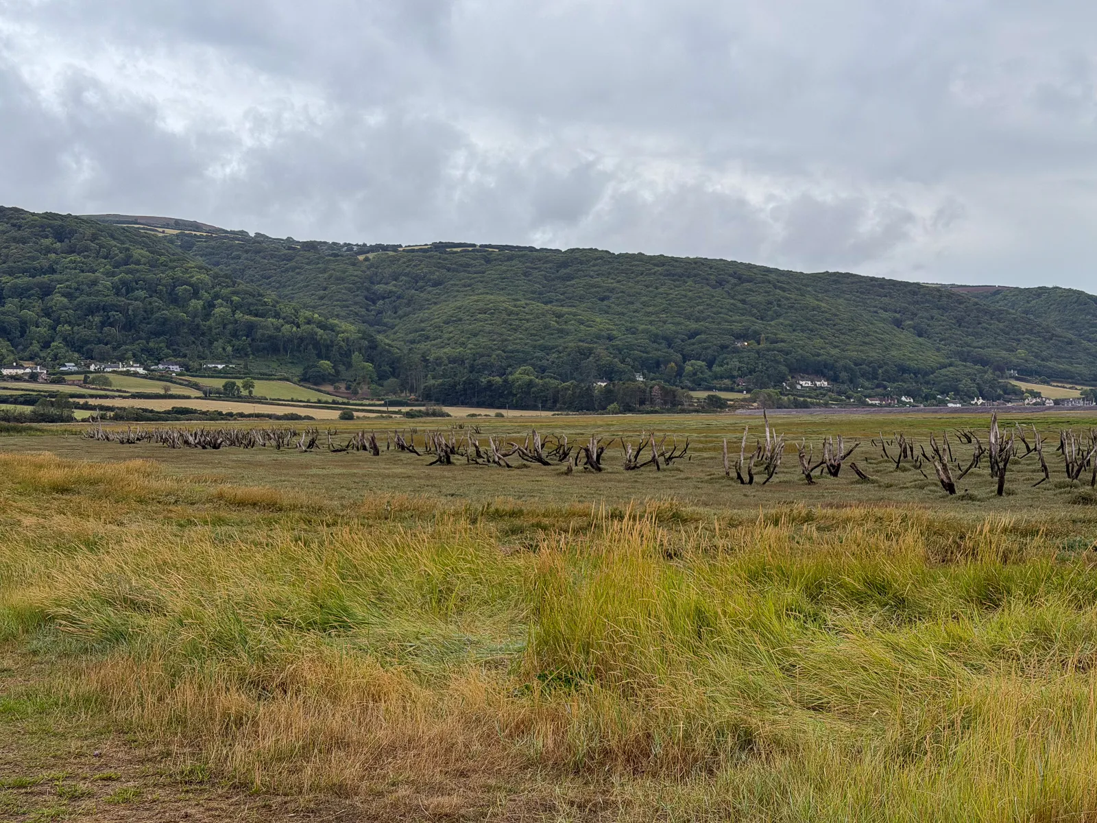 Photo at Porlock