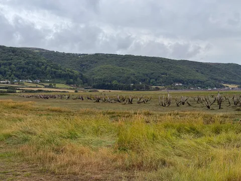 Photo at Porlock