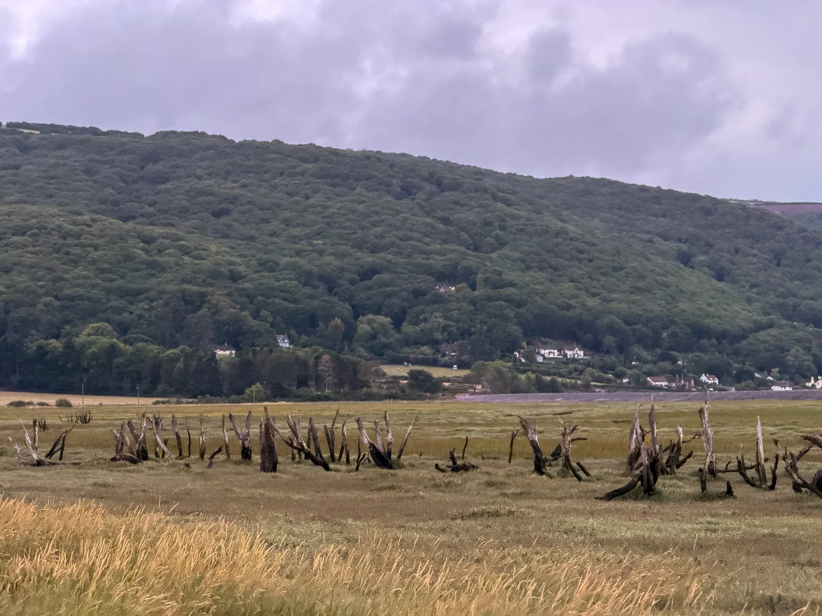 Photo at Porlock