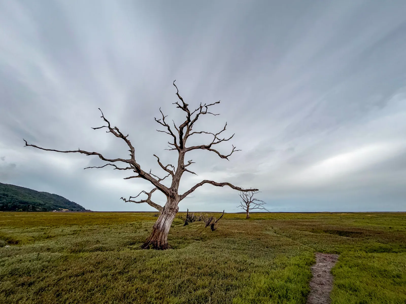 Photo at Porlock Marsh